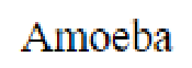 Question content