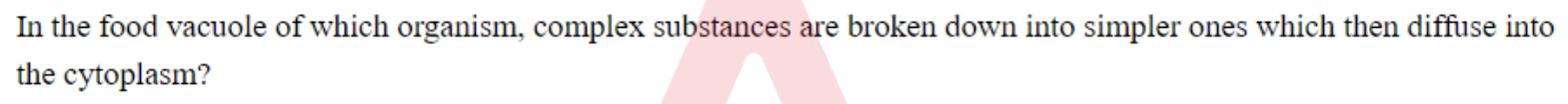 Question content