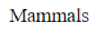 Question content