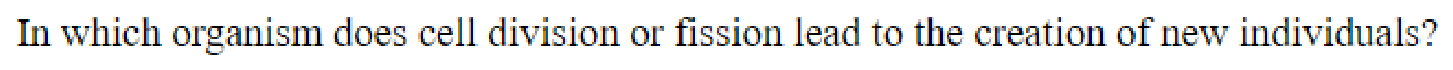 Question content