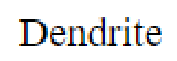 Question content