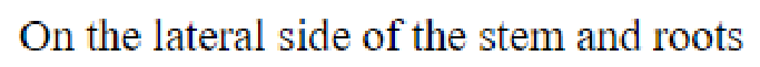 Question content
