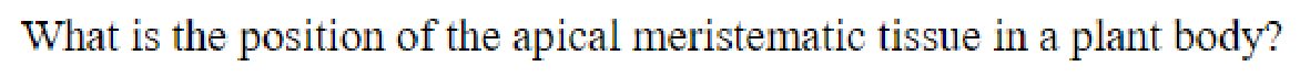 Question content