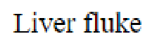 Question content
