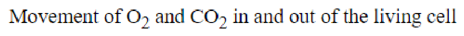 Question content