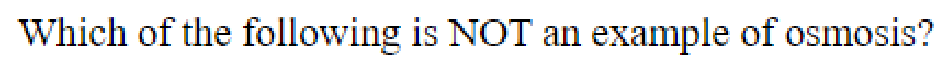 Question content