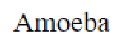 Question content