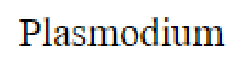 Question content