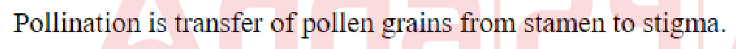 Question content