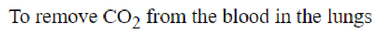 Question content