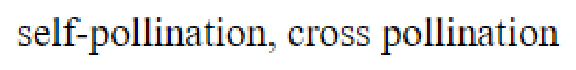 Question content