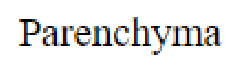 Question content
