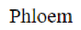 Question content