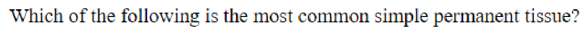 Question content