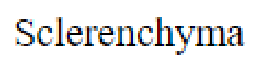 Question content