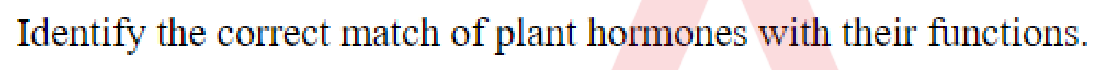 Question content