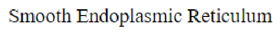 Question content