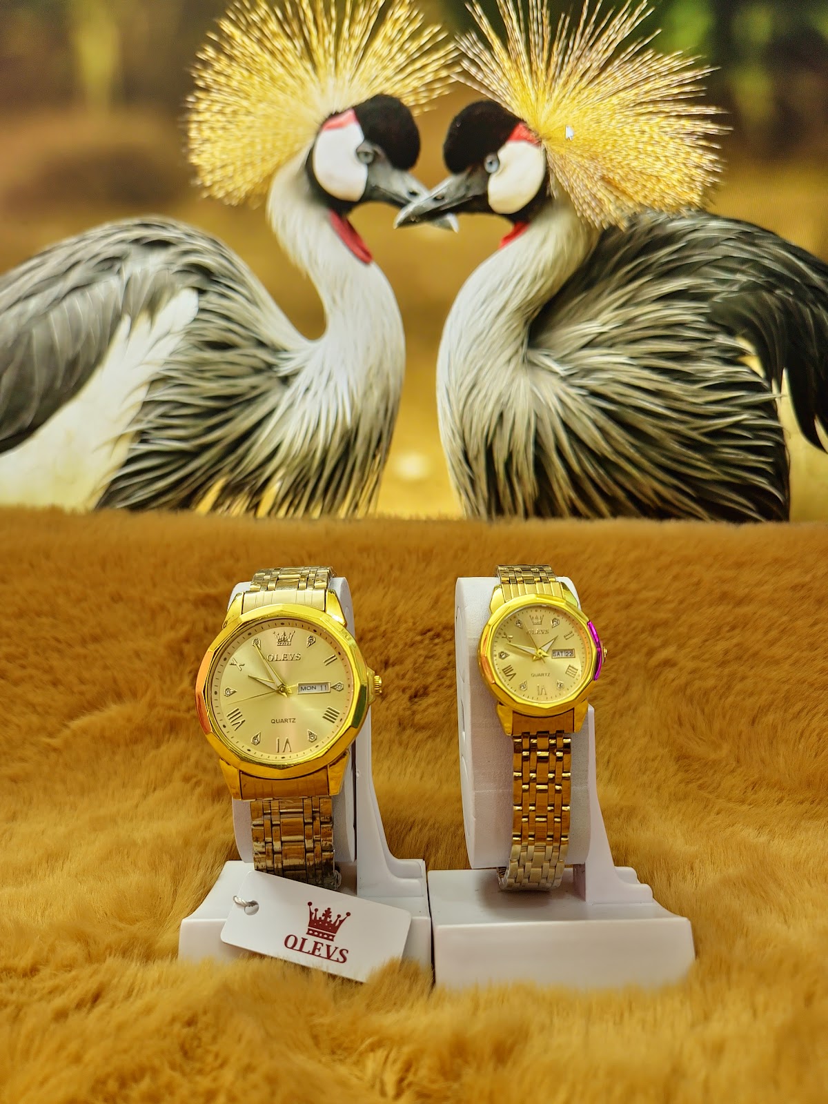 Olevs Couple - 2