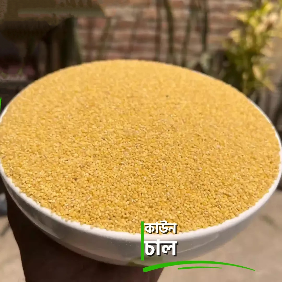 কাউনের চাল