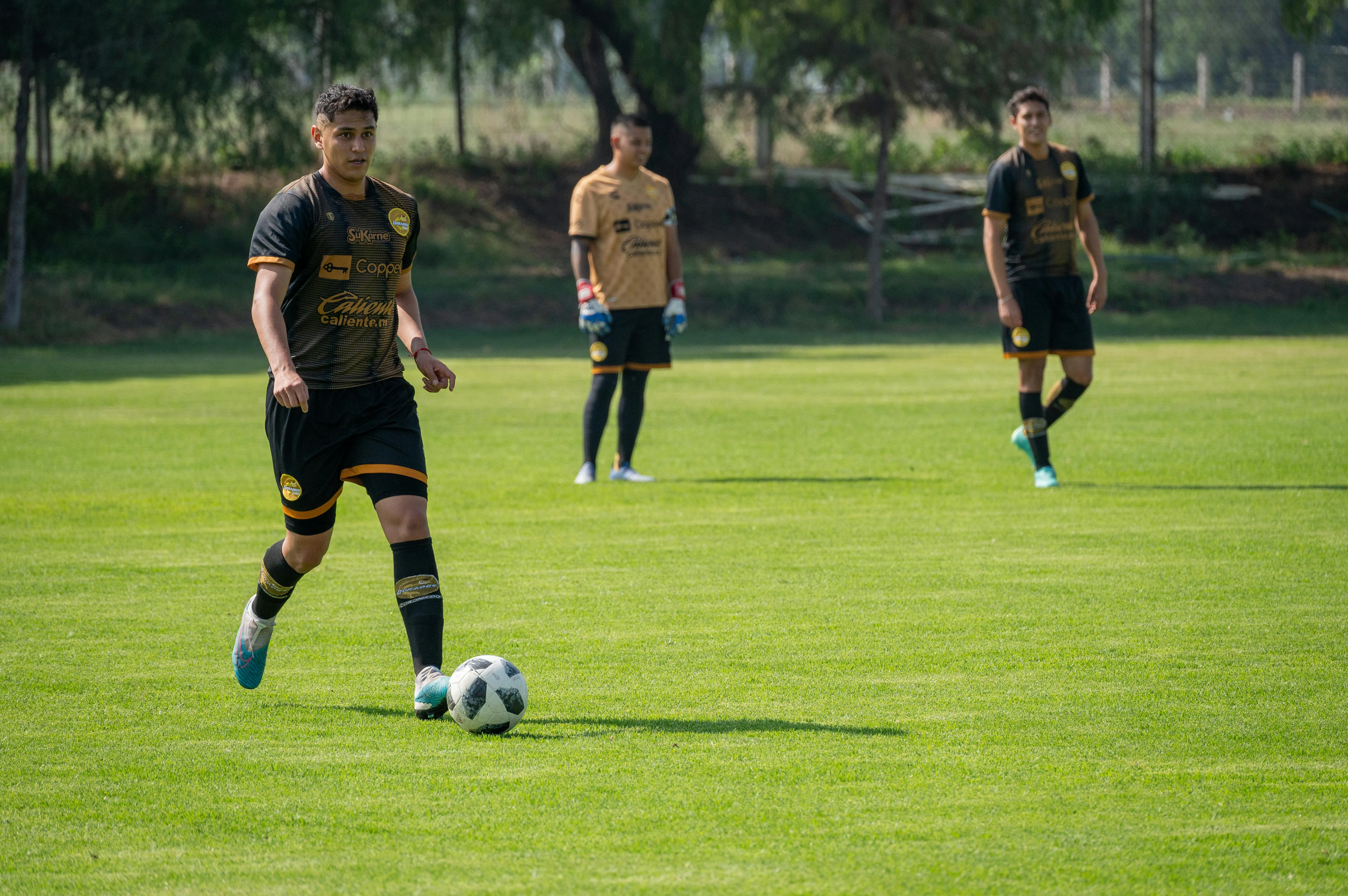 ProKick Arena