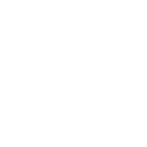 Pragmatic