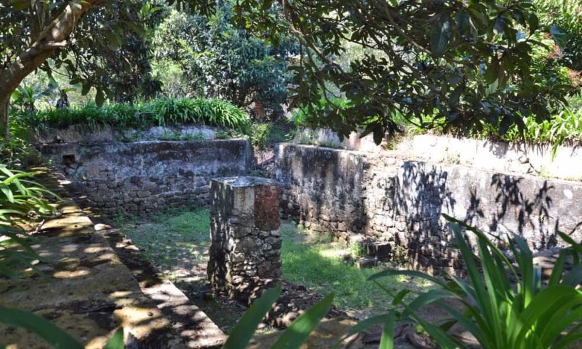 Slide 4