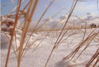 L’Amour…Pas la Guerre !