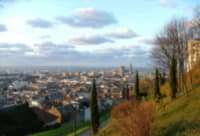 Le conseil de famille