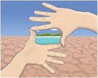 Noël Miraculeux !… ou Pas ?