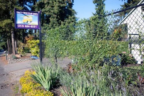 Front entrance of Dawg Tired Play Days with a business sign and garden-lined fence along the driveway.