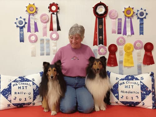 Dog trainer Rhonda Coombes posing with two collies in front of award ribbons from obedience and rally competitions.