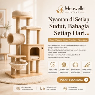 Showcase