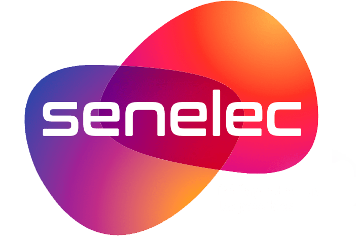 SENELEC — Société Nationale d'Électricité du Sénégal