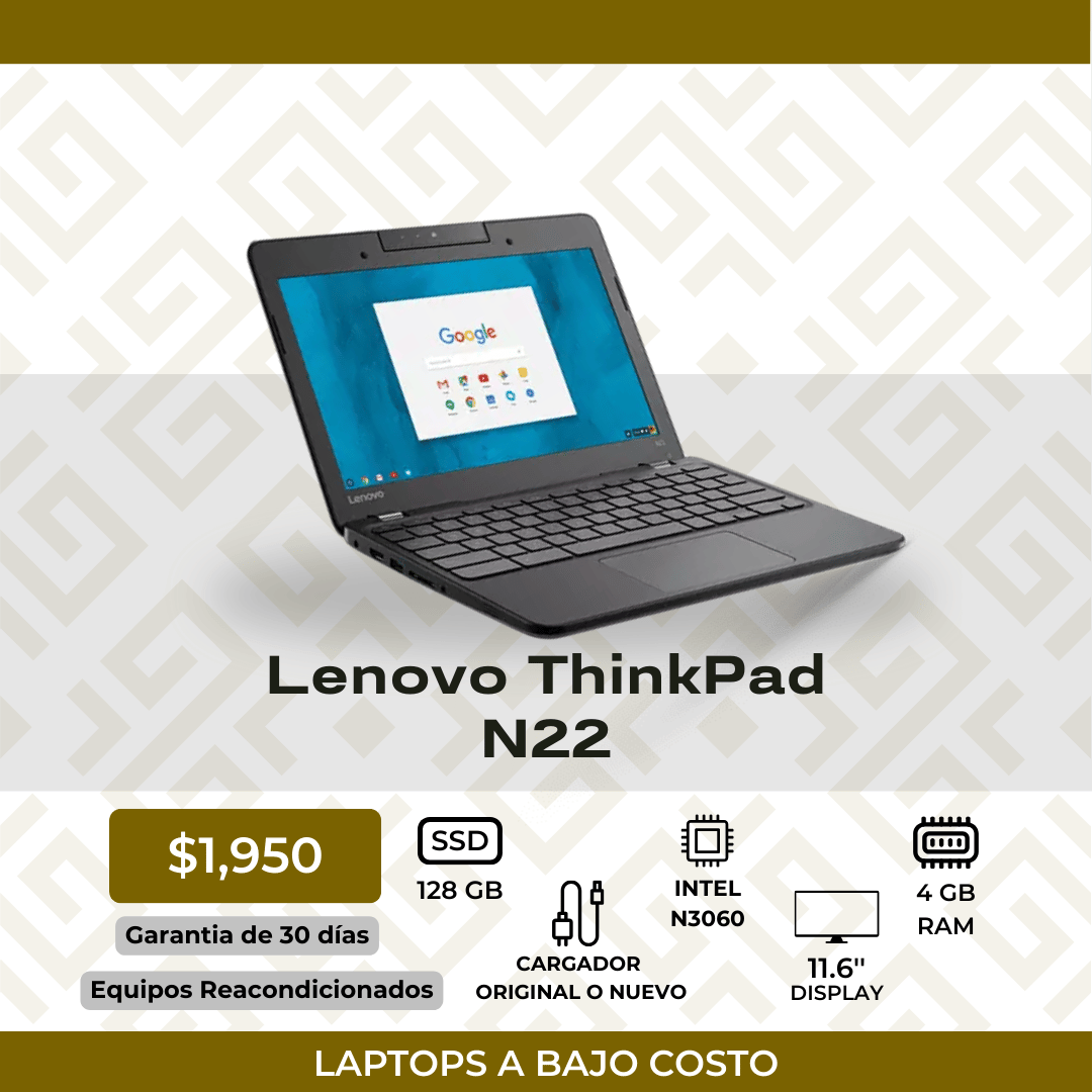 Lenovo ThinkPad N22