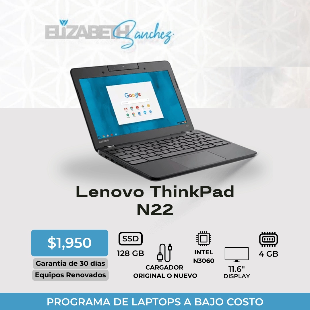 Lenovo ThinkPad N22 - Eli