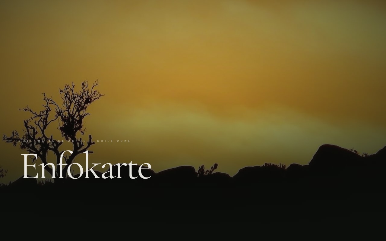 Enfokarte — fotografía artística