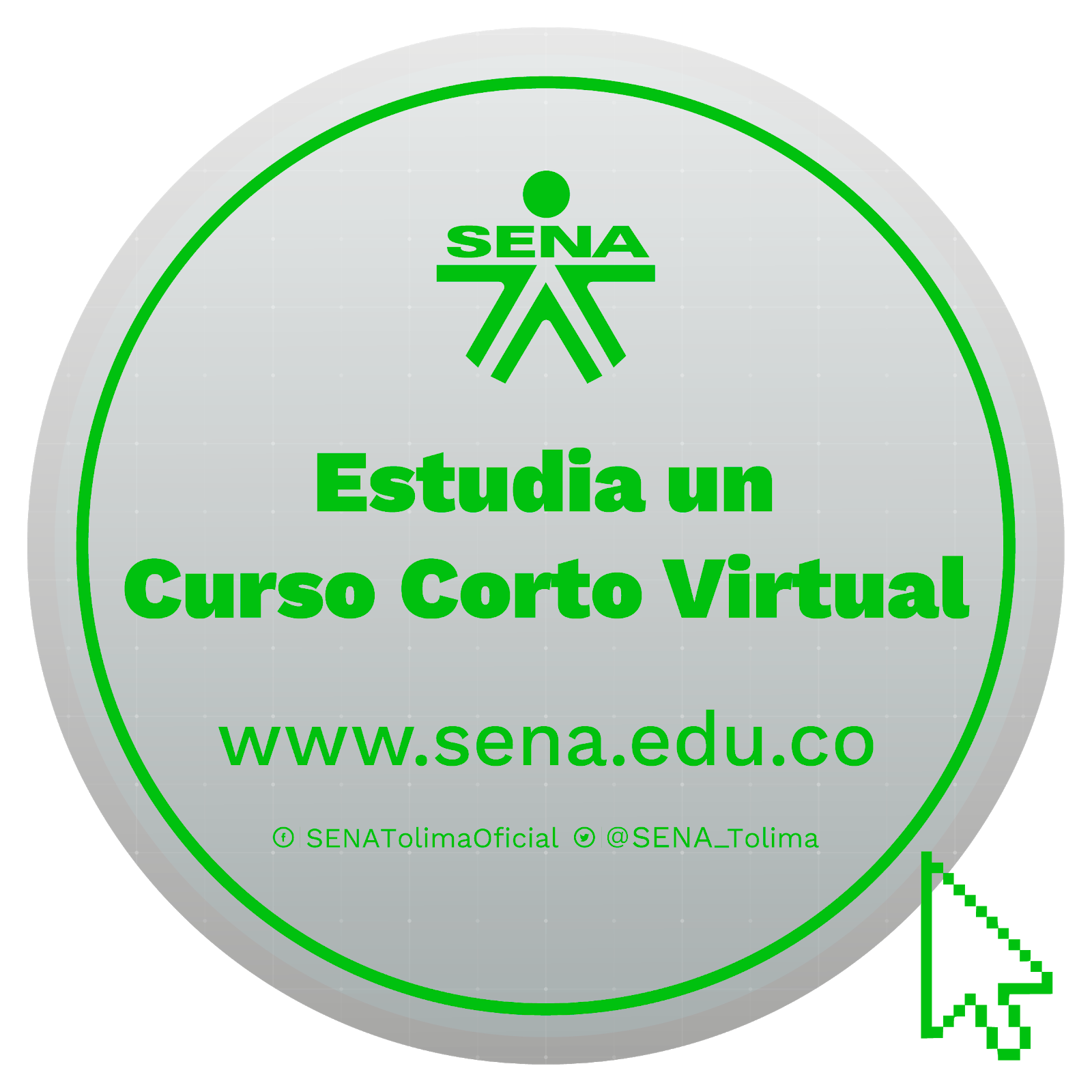 Cursos Virtuales