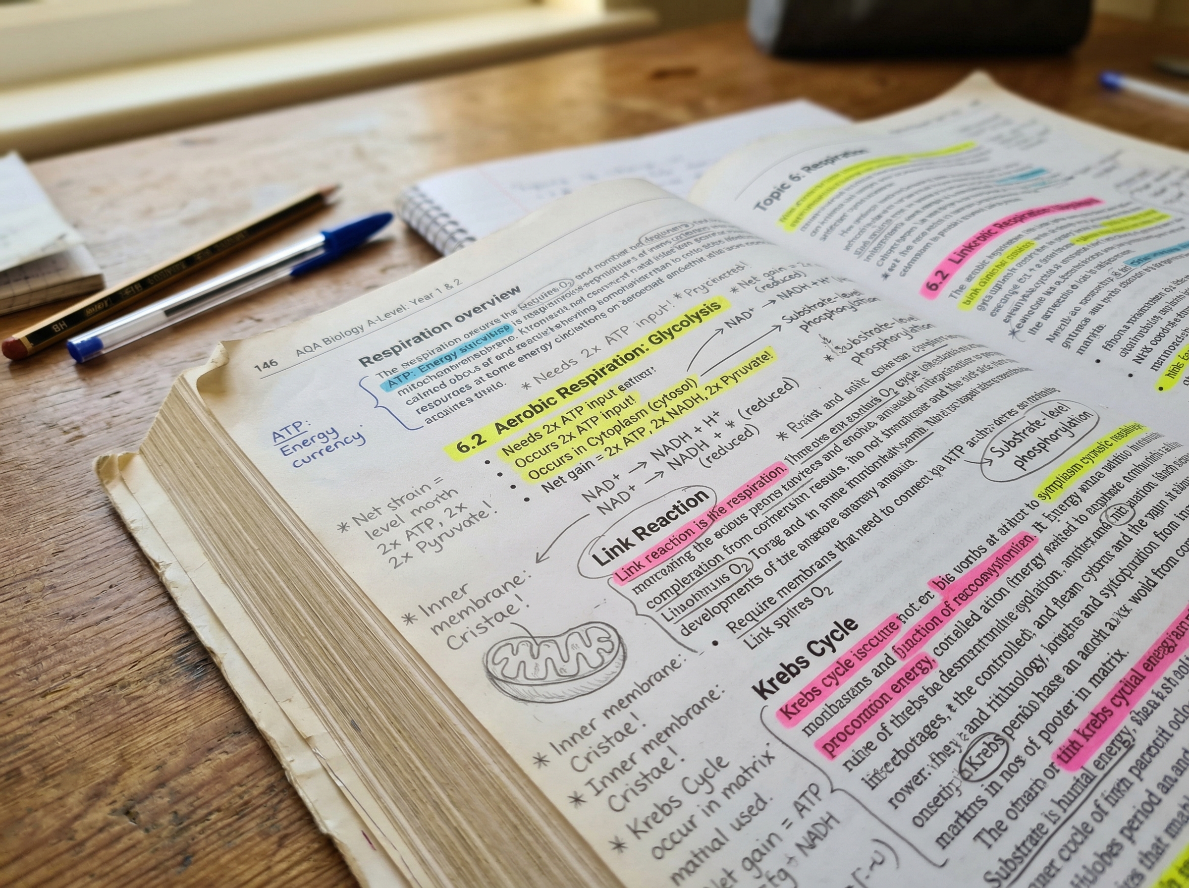 Close-up of academic textbooks and notes