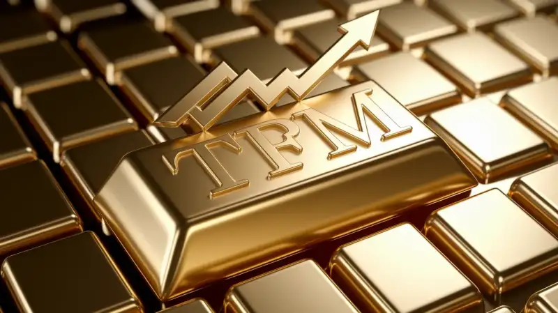 Această acțiune din sectorul aurului a atins un punct de cumpărare și un nou maxim - dar există un dezavantaj