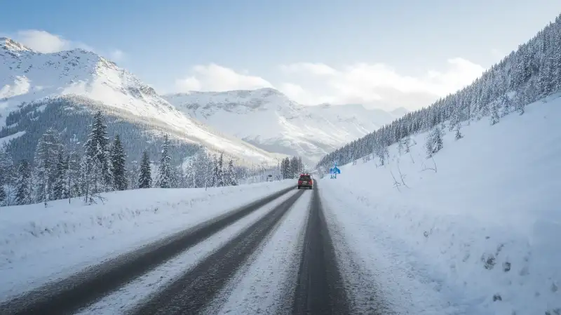 Cod Galben de Ninsori și Viscol: Drumuri Închise și Copaci Căzuți