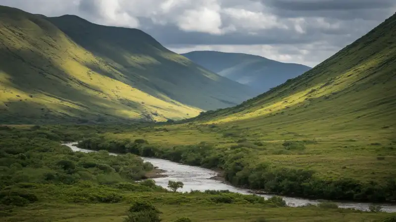 Elefanți Fantomă Descoperiți în Angola: Un Mister Dezvăluit