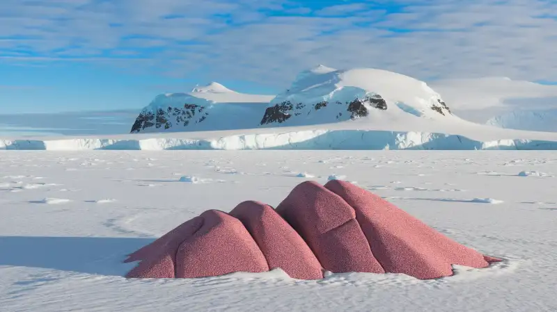 Roci roz neobișnuite au dezvăluit un gigant ascuns sub Antarctica