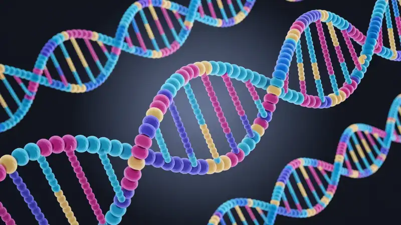Descoperire Genetică Majoră: Cine sunt, de fapt, Japonezii?