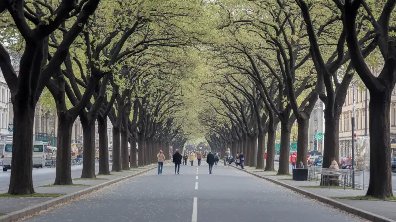 Buzău închide un bulevard pentru a proteja castanii înfloriți