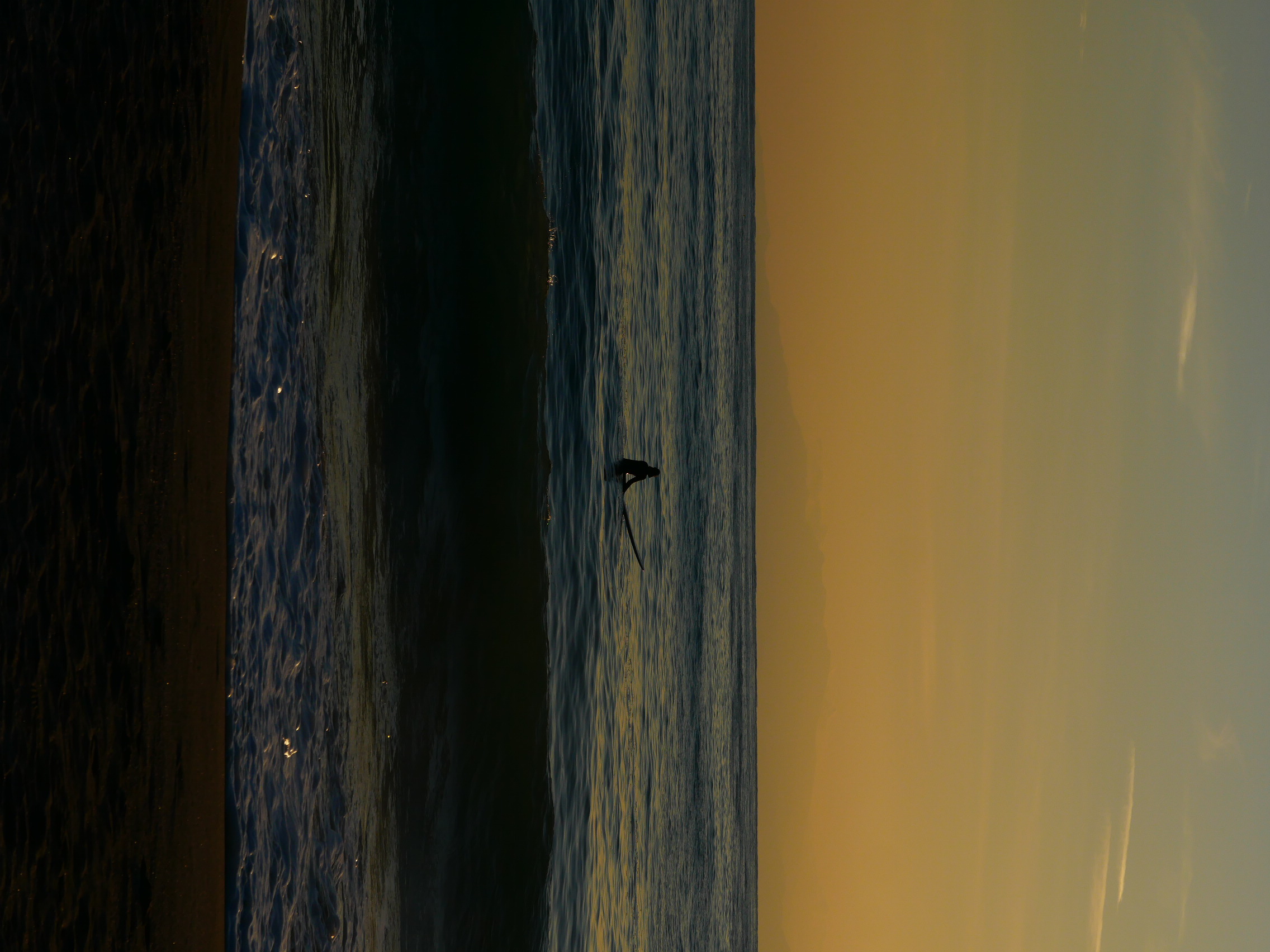 Surf's Up