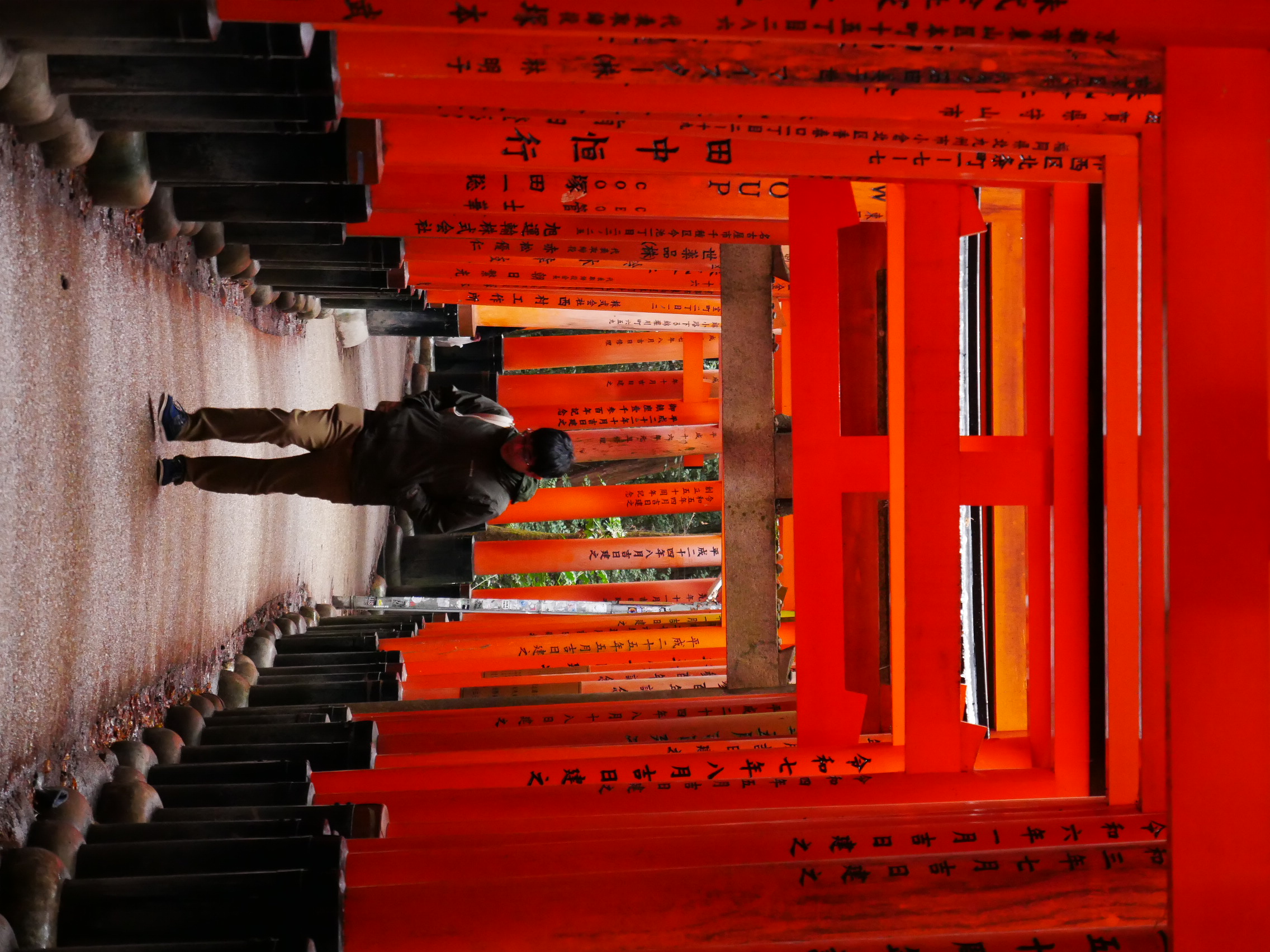 Classic Kyoto Tourist Photo