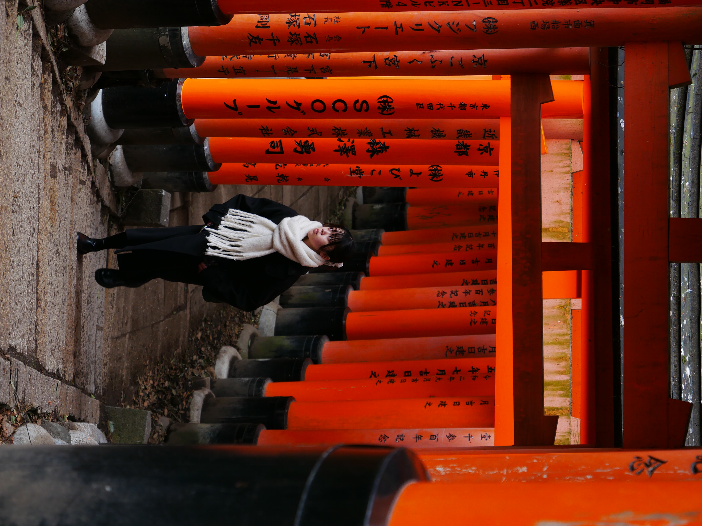 Kyoto's Main Character