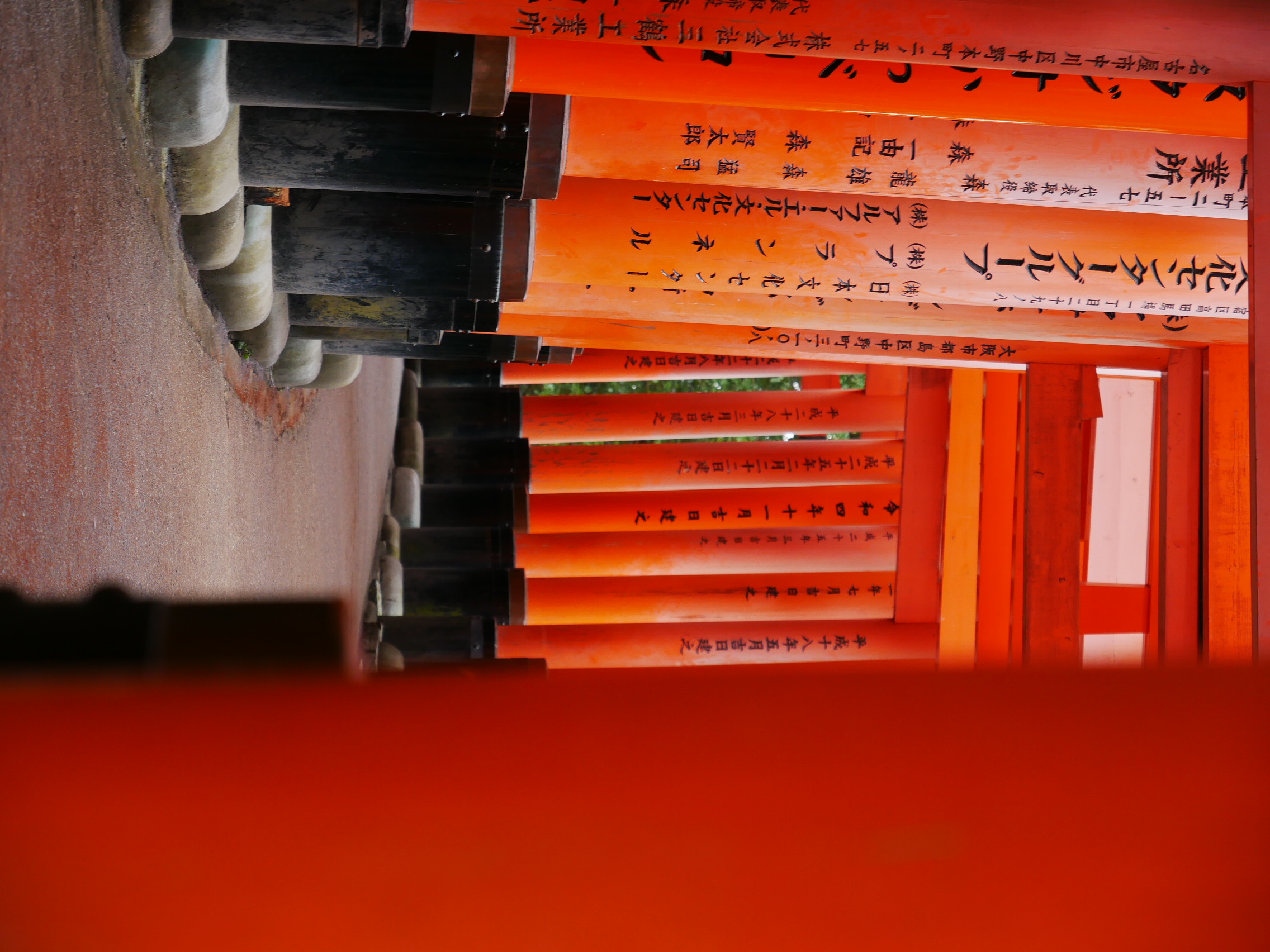 The Corridor of Torii