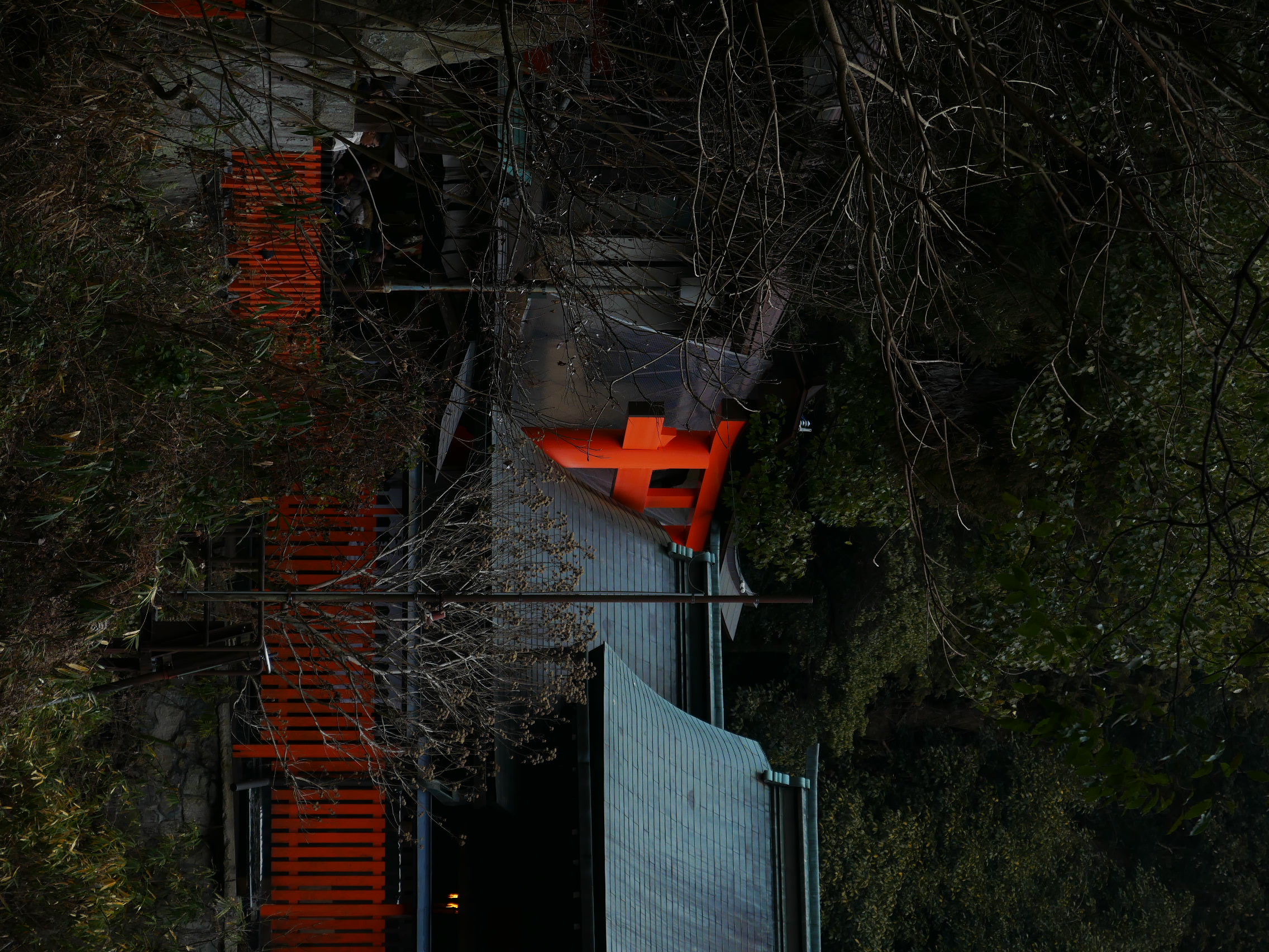 We've Got Torii At Home