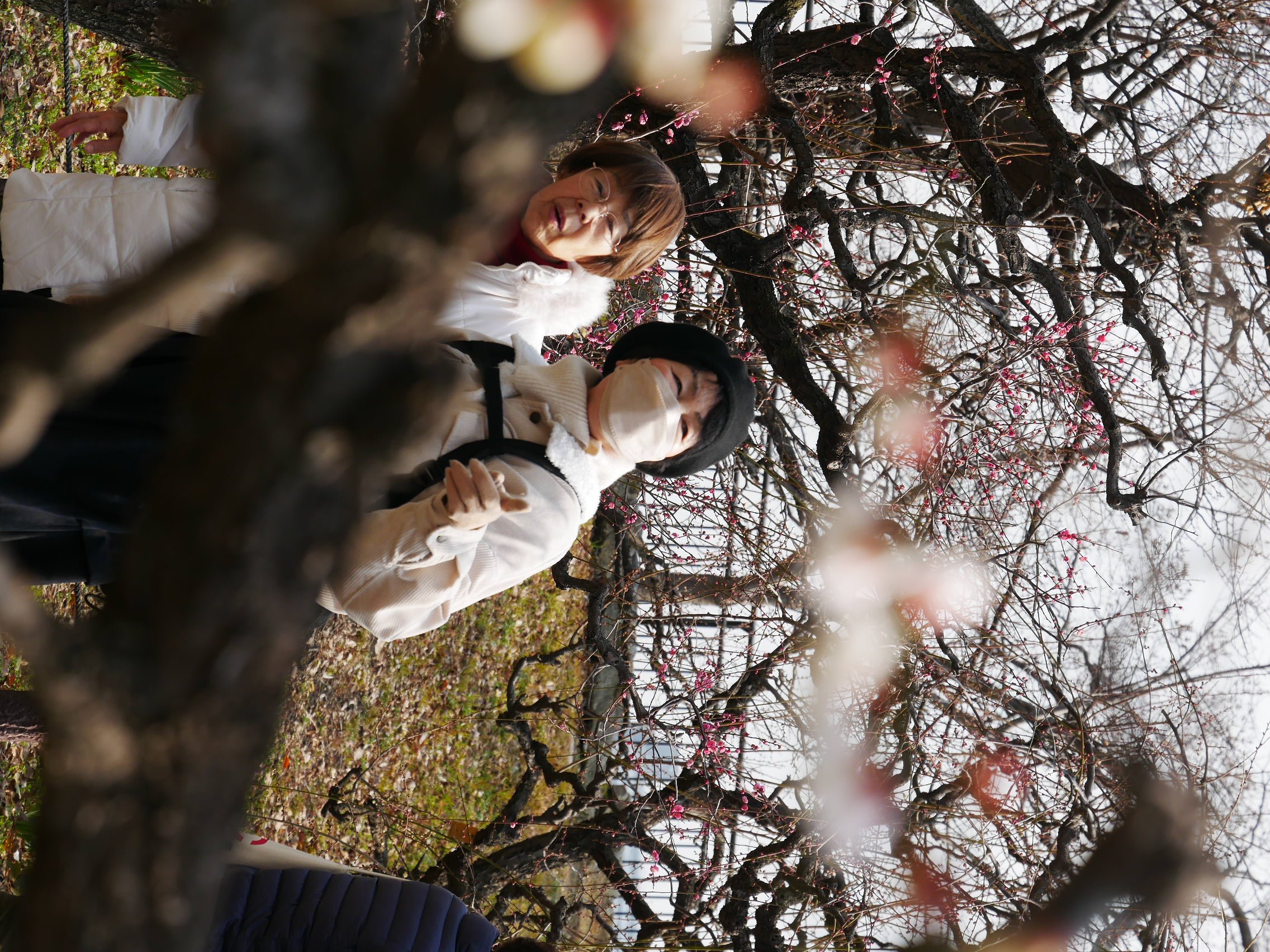 Framed by the Flowers